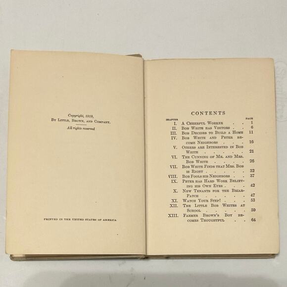 The Adventures of Bob White, by Thorton W. Burgess. c.1926 - Picture 3 of 4